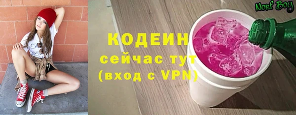эйфоретик Няндома