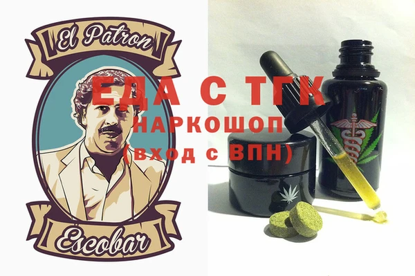 эйфоретик Няндома