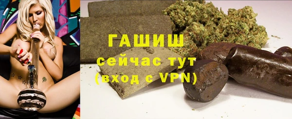 эйфоретик Няндома